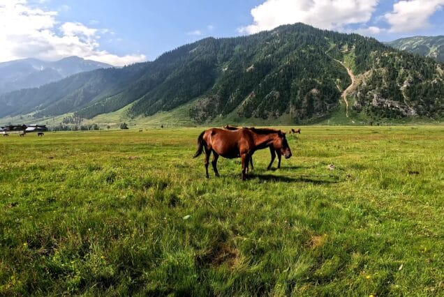 Gurez Valley 5 Days and 4 Nights Package