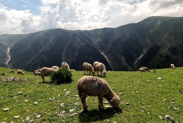 Gurez Valley 5 Days and 4 Nights Package