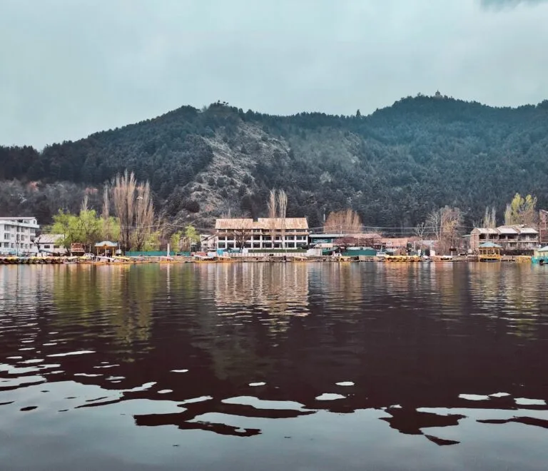 Srinagar Destination