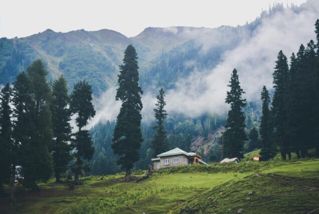 Kashmir Tour 7 Days and 6 Nights