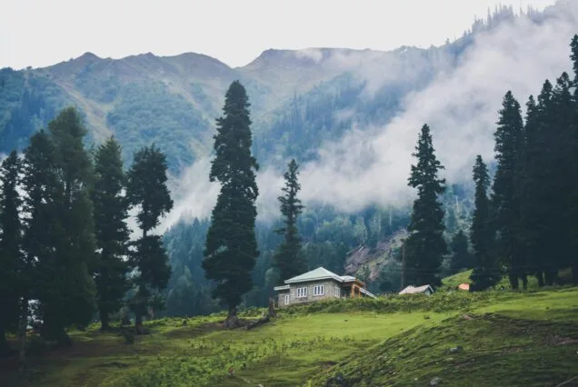 Kashmir Tour 7 Days and 6 Nights