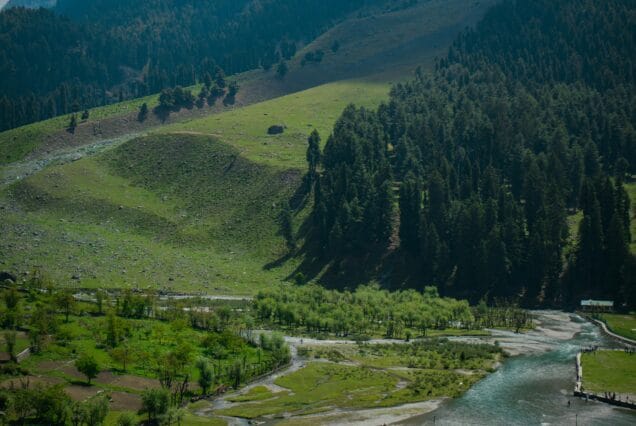 Honeymoon 5 Days and 4 Nights Package